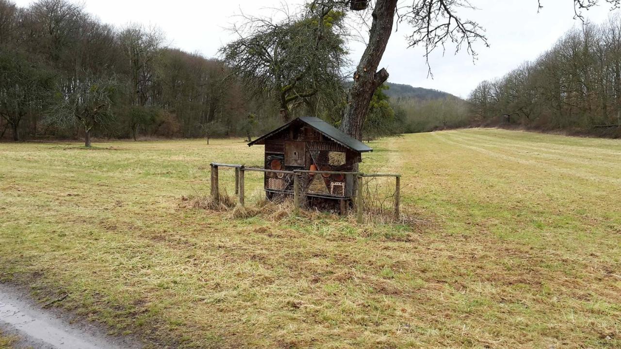 Haus Mit Seele Im Nahetal Weinsheim  Zewnętrze zdjęcie