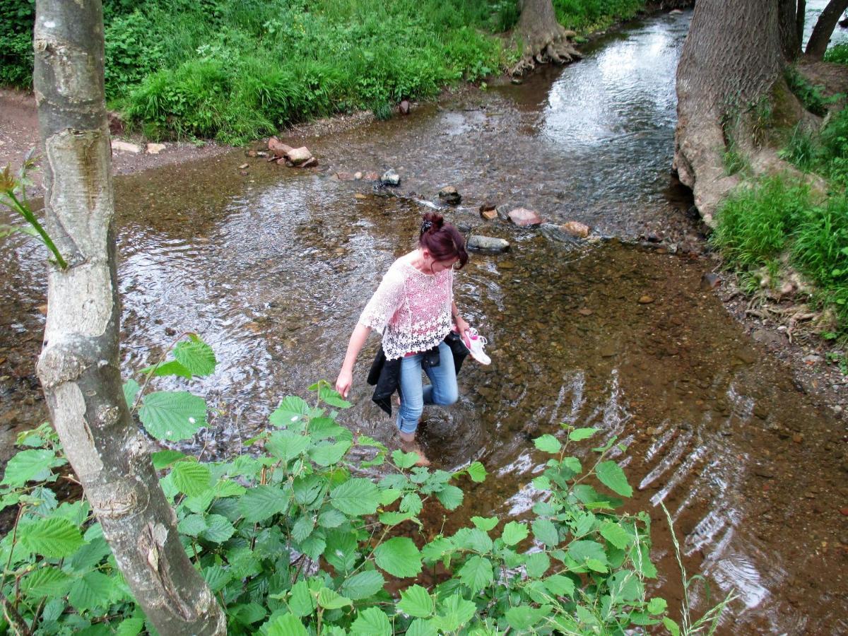 Haus Mit Seele Im Nahetal Weinsheim  Zewnętrze zdjęcie