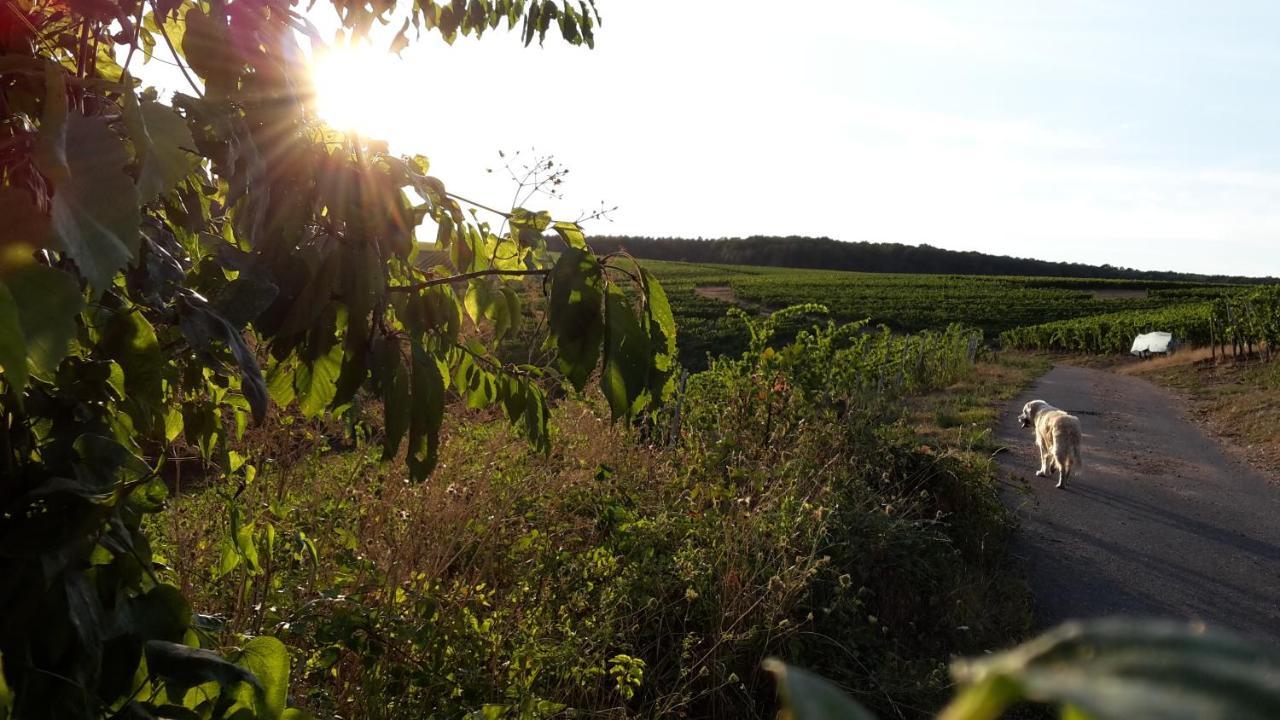 Haus Mit Seele Im Nahetal Weinsheim  Zewnętrze zdjęcie