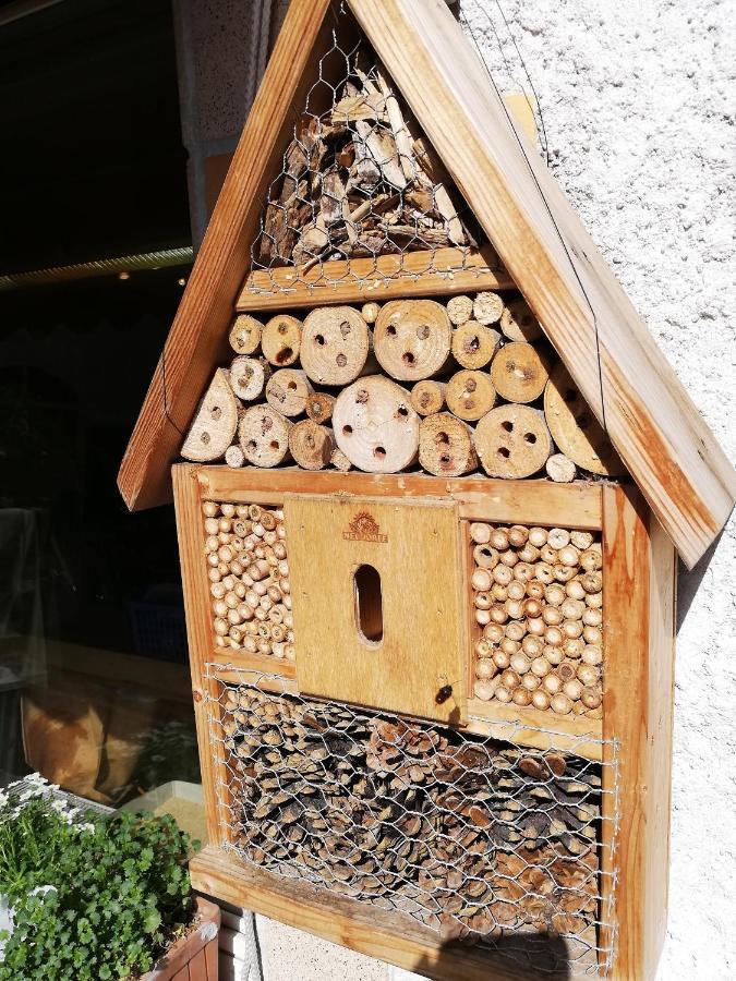 Haus Mit Seele Im Nahetal Weinsheim  Zewnętrze zdjęcie