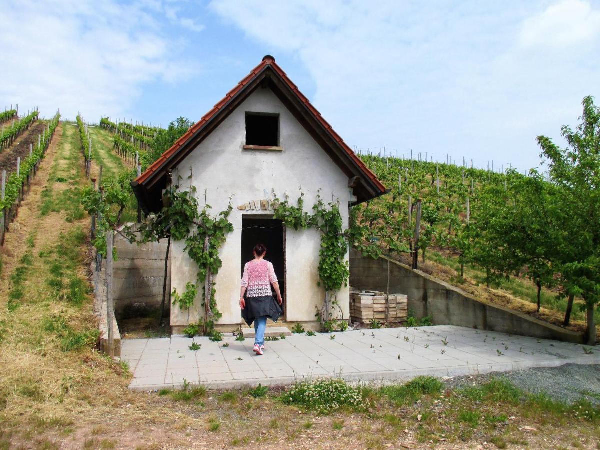 Haus Mit Seele Im Nahetal Weinsheim  Zewnętrze zdjęcie