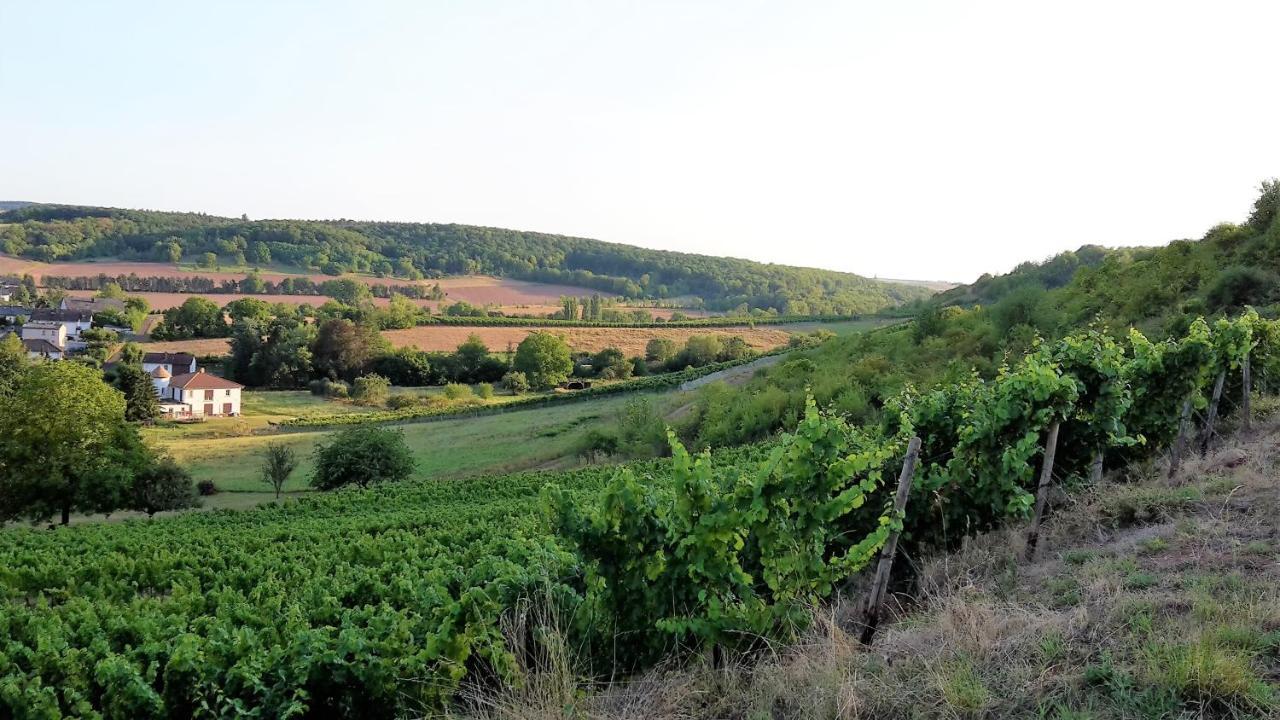 Haus Mit Seele Im Nahetal Weinsheim  Zewnętrze zdjęcie