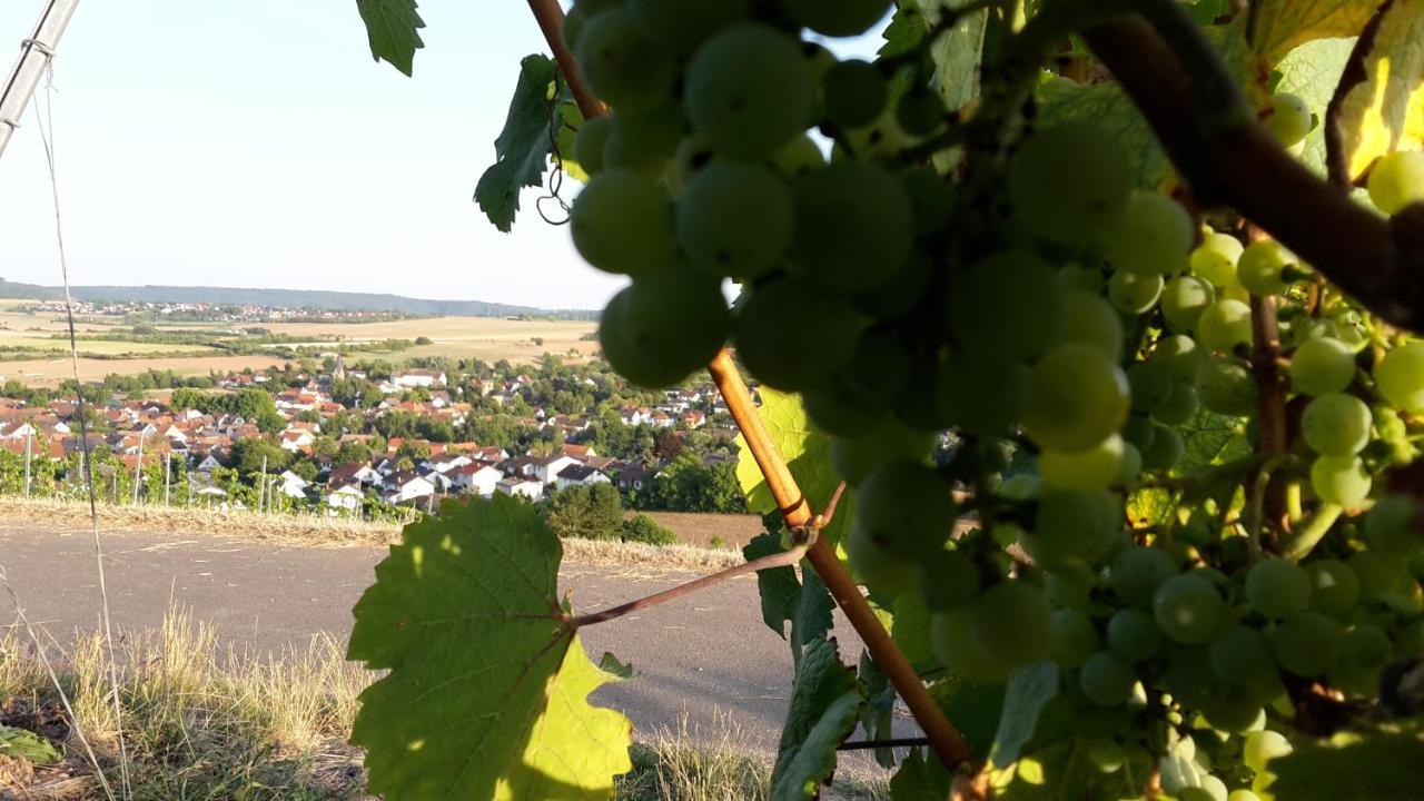 Haus Mit Seele Im Nahetal Weinsheim  Zewnętrze zdjęcie